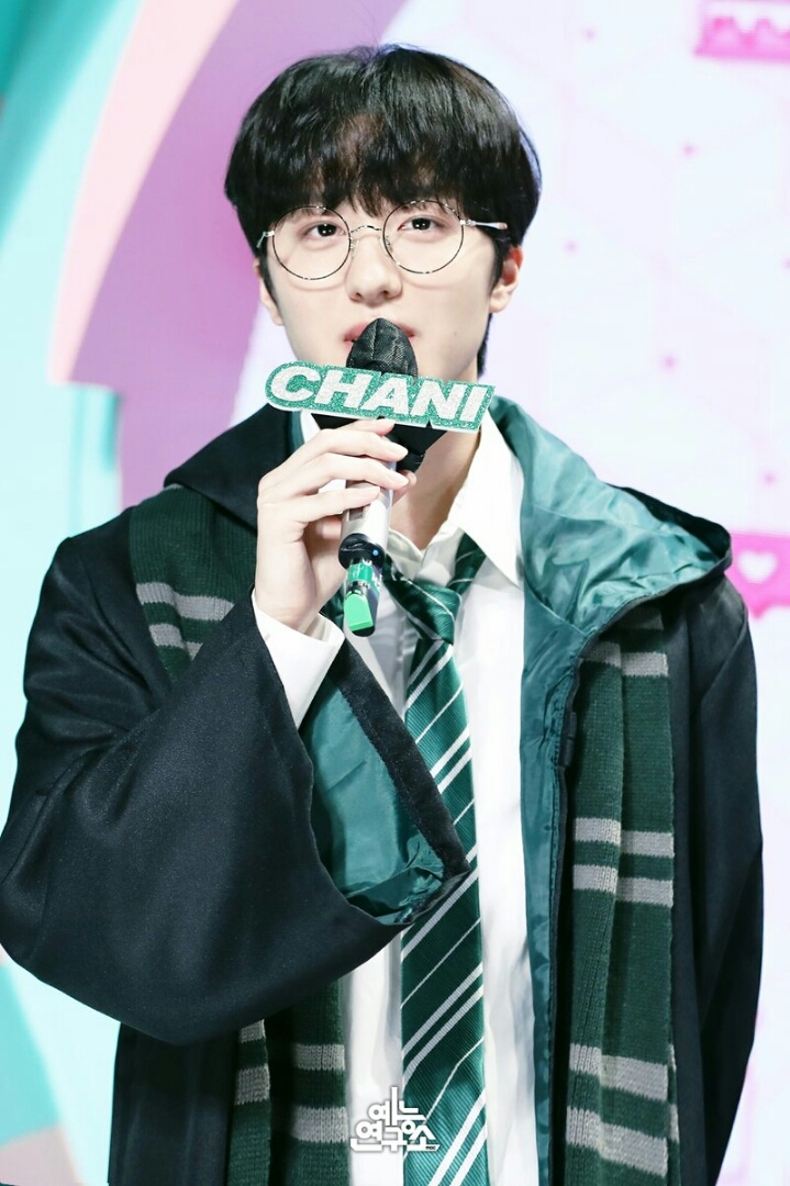 차니차니 이미지