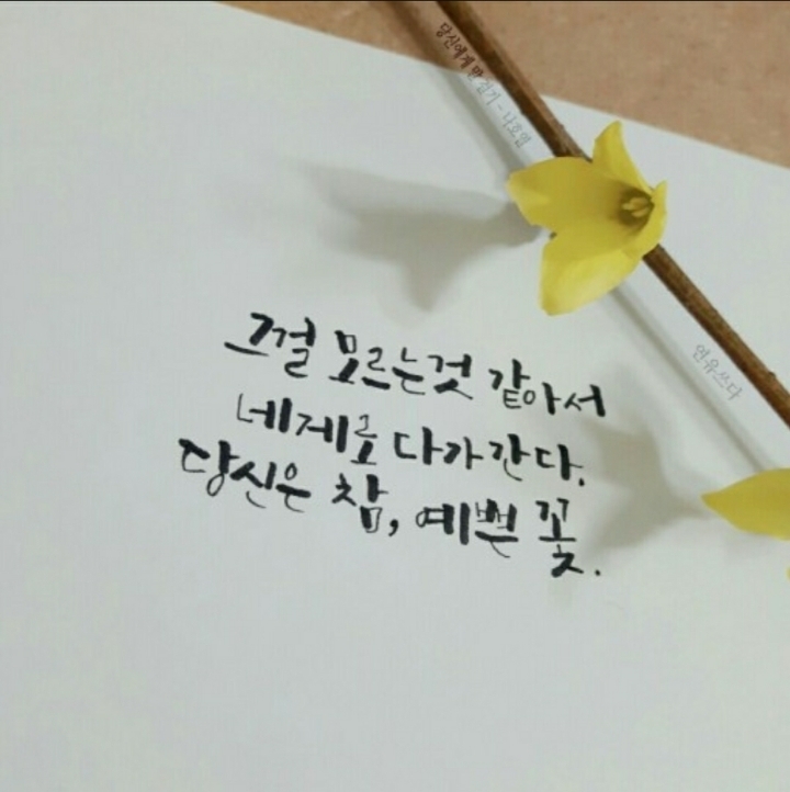 당신은참;예쁜꽃 이미지