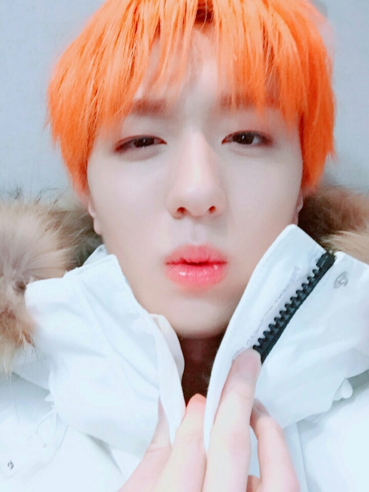 차니차니 이미지