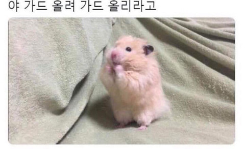 인성 이미지