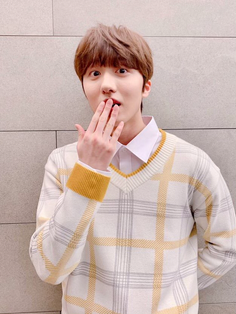 차니차니 이미지