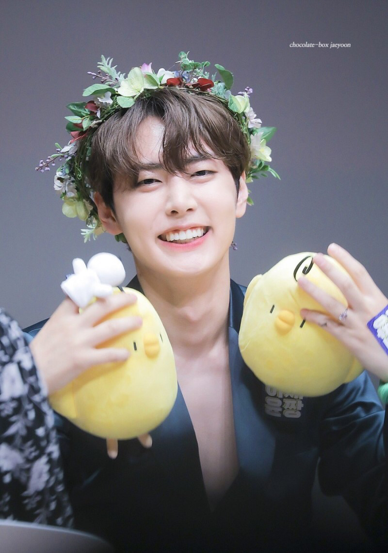 니꼬 이미지