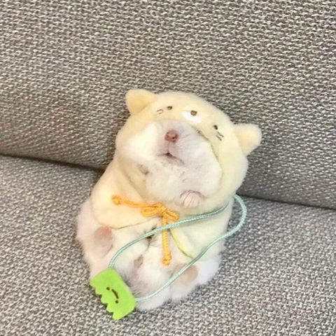 인성 이미지