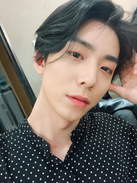 영이영이 이미지
