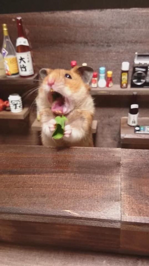 인성 이미지