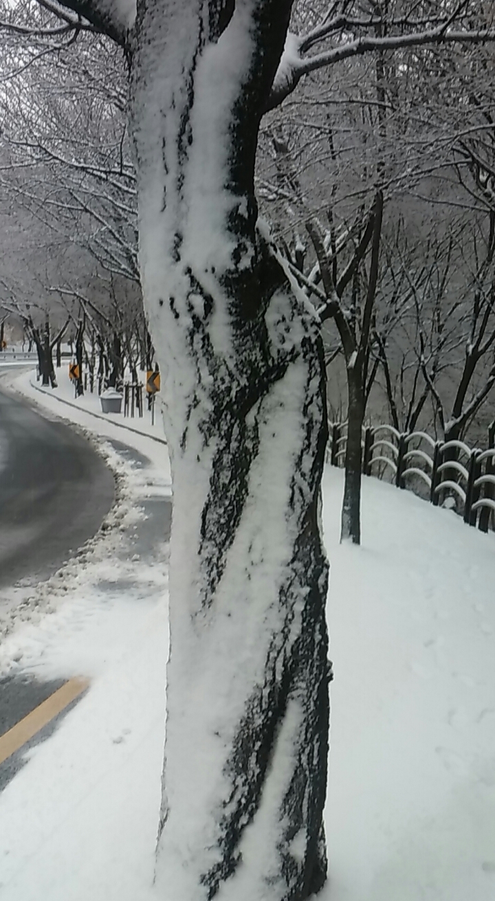 잔트가르 이미지