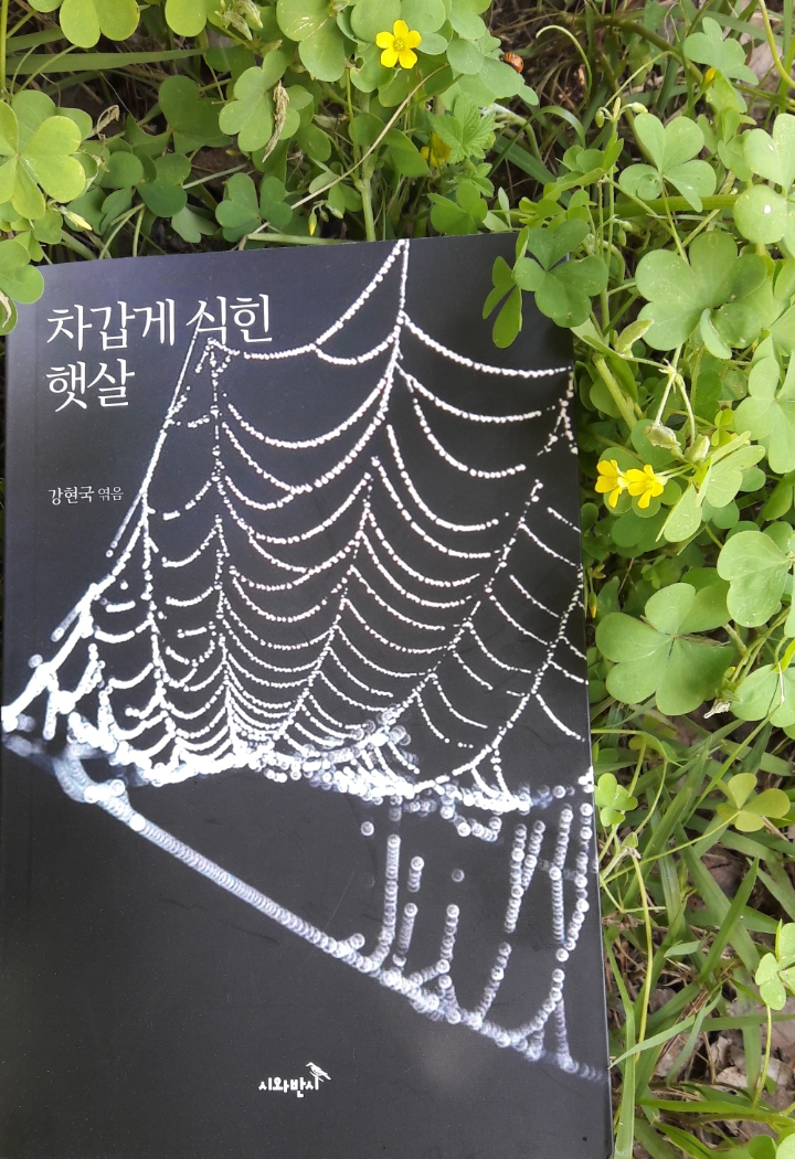 (사)녹색문화컨텐츠개발연구원 이미지