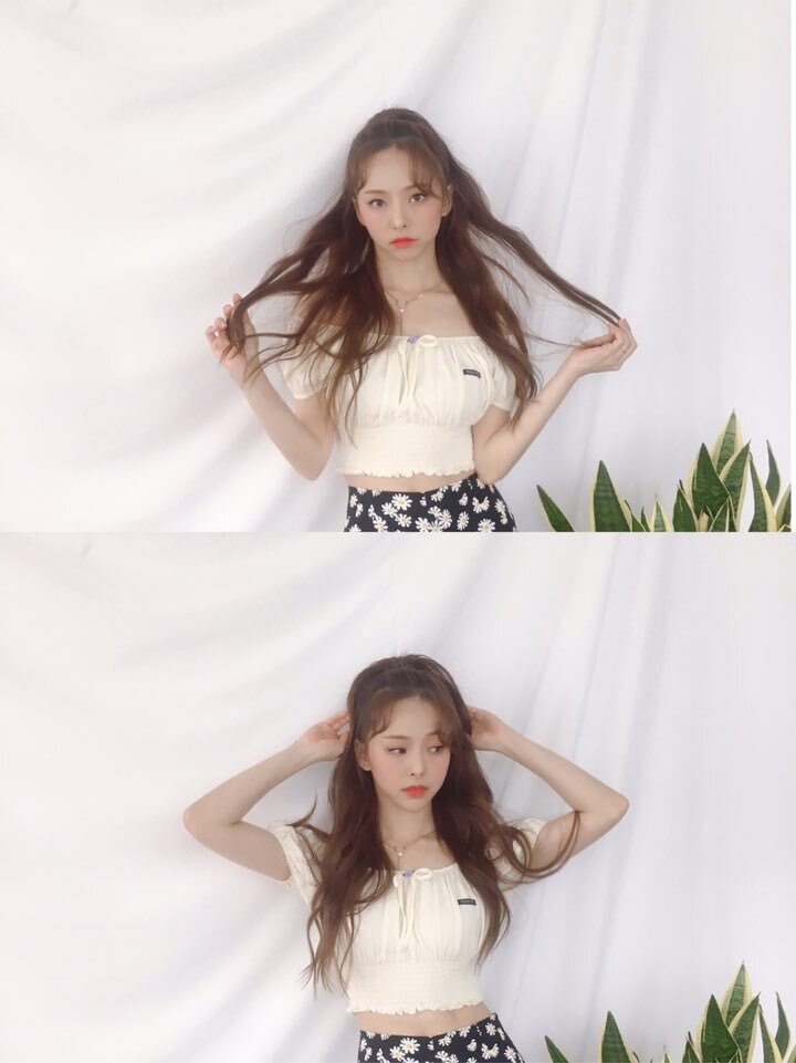 비비드림 이미지