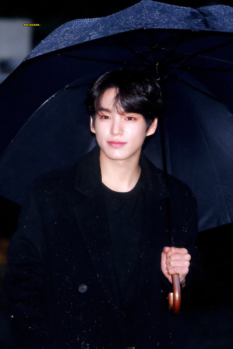 차니차니 이미지