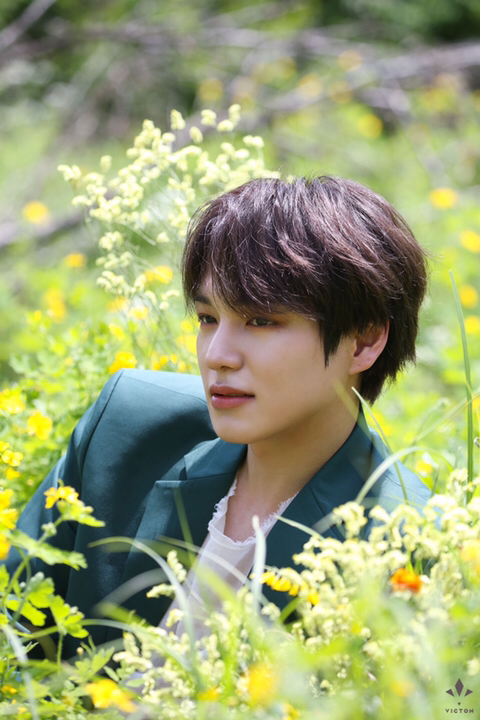 찬찬찬 이미지