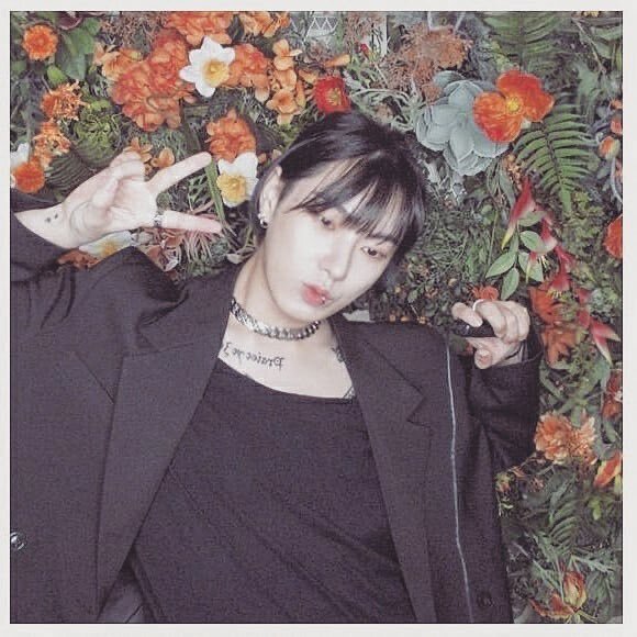 도양 이미지