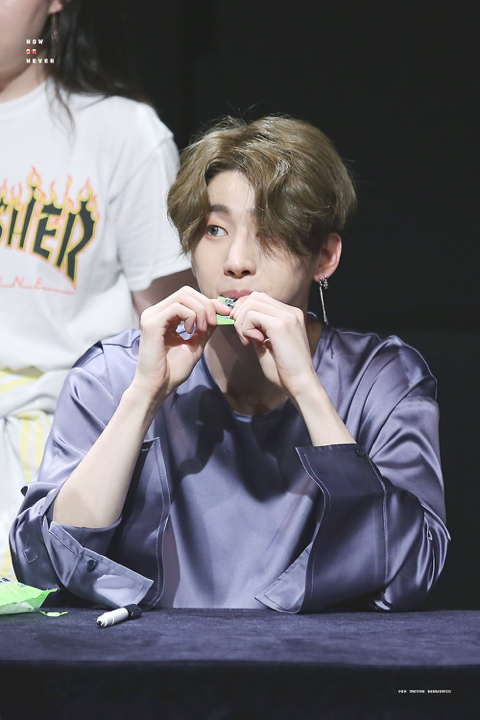 우야 이미지