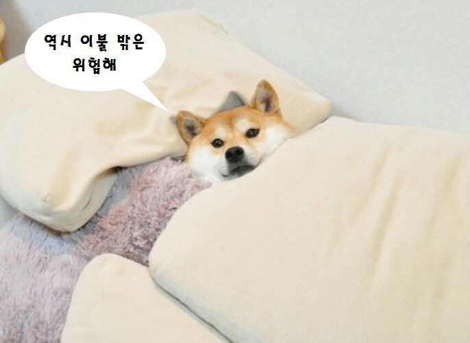 없음 이미지
