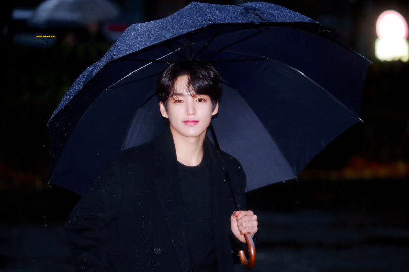 차니차니 이미지