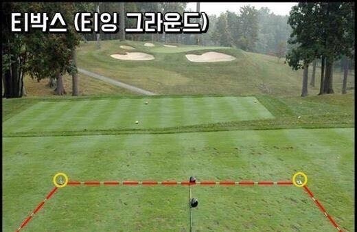 티박스 이미지