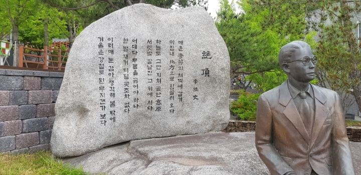 그림나무 이미지