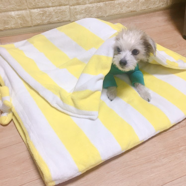 또또 이미지