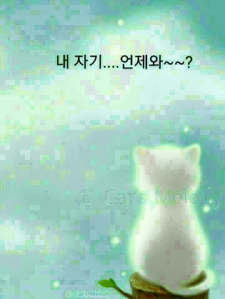 단비네 이미지