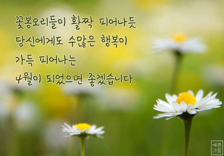 시랑 이미지