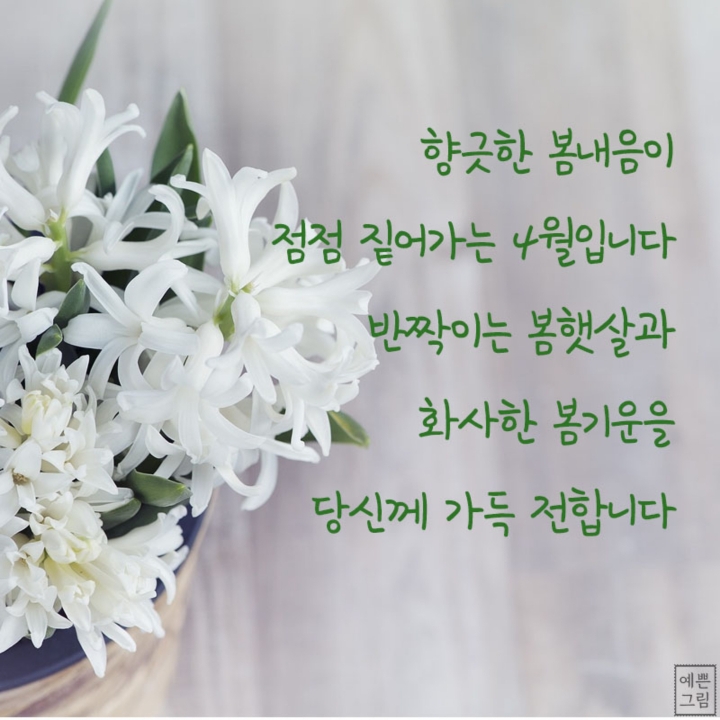 시랑 이미지