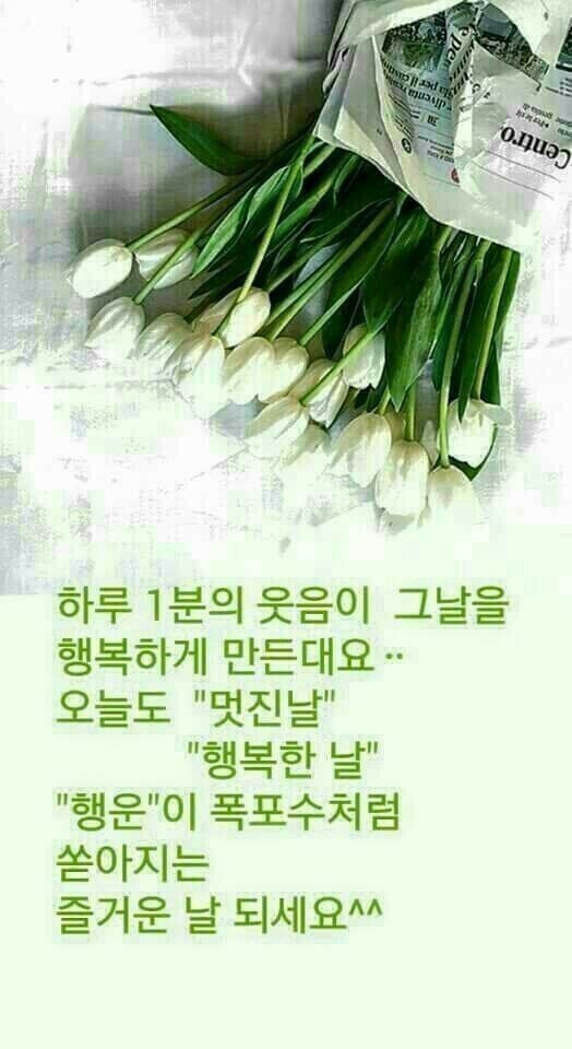 문라이브 이미지