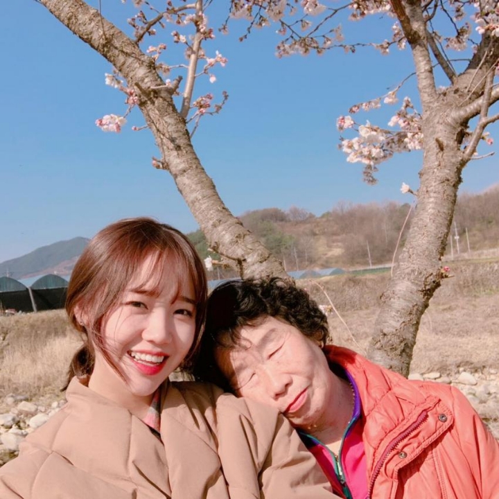 가시나 이미지