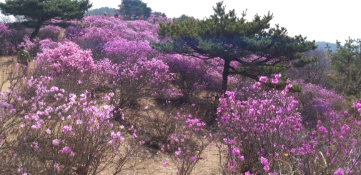가현주유소 이미지