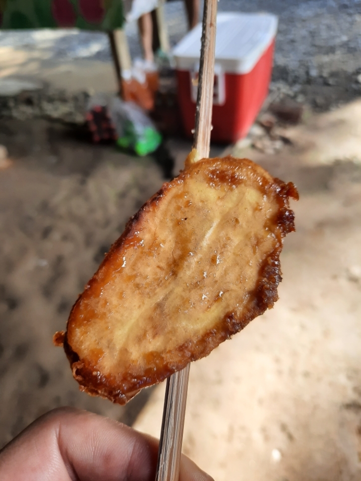 아우로라 이미지