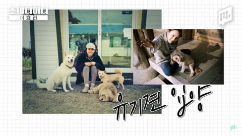 이효리가 유일무이 전무후무 원앤온리 웅앵하다고 말하는 이유 | 인스티즈