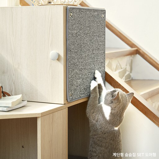 김메주와 콜라보한 일룸 고양이 반려가구 | 인스티즈