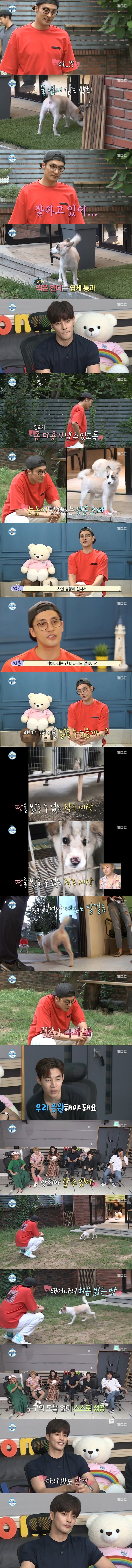 [나혼자산다] 태어나서 처음으로 잔디를 밟은 성훈 반려견 양희ㅠㅠㅠㅠㅠ | 인스티즈