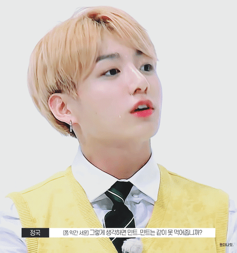 [방탄소년단정국] 이 본업 외에 항상 진심인 것 | 인스티즈
