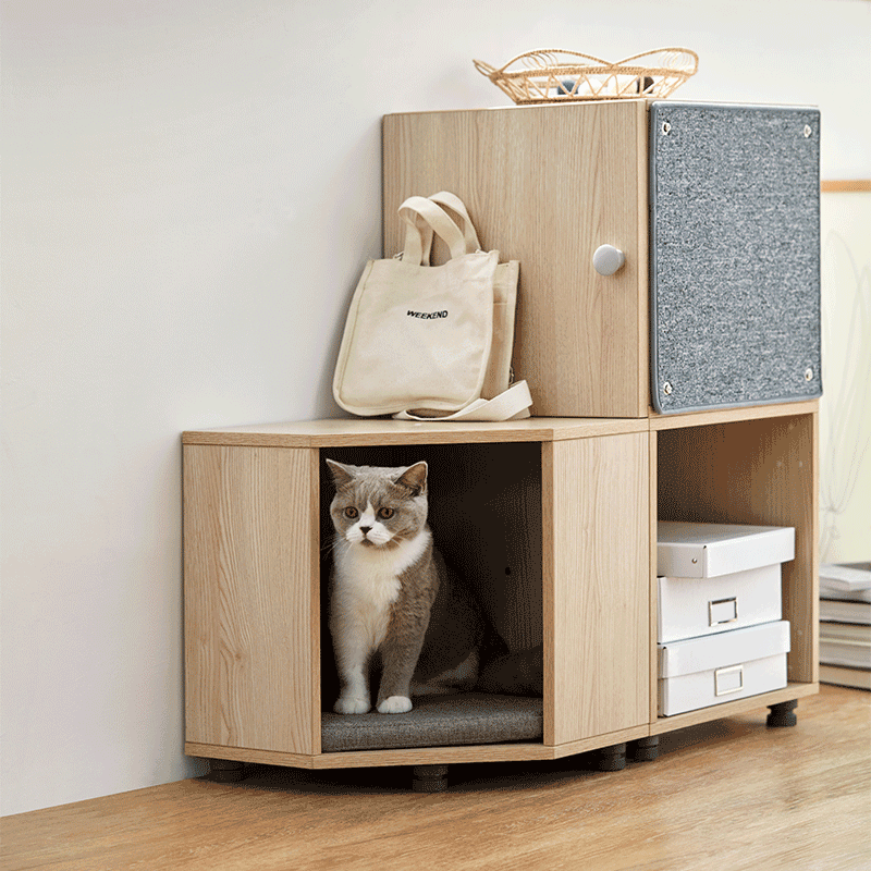 김메주와 콜라보한 일룸 고양이 반려가구 | 인스티즈