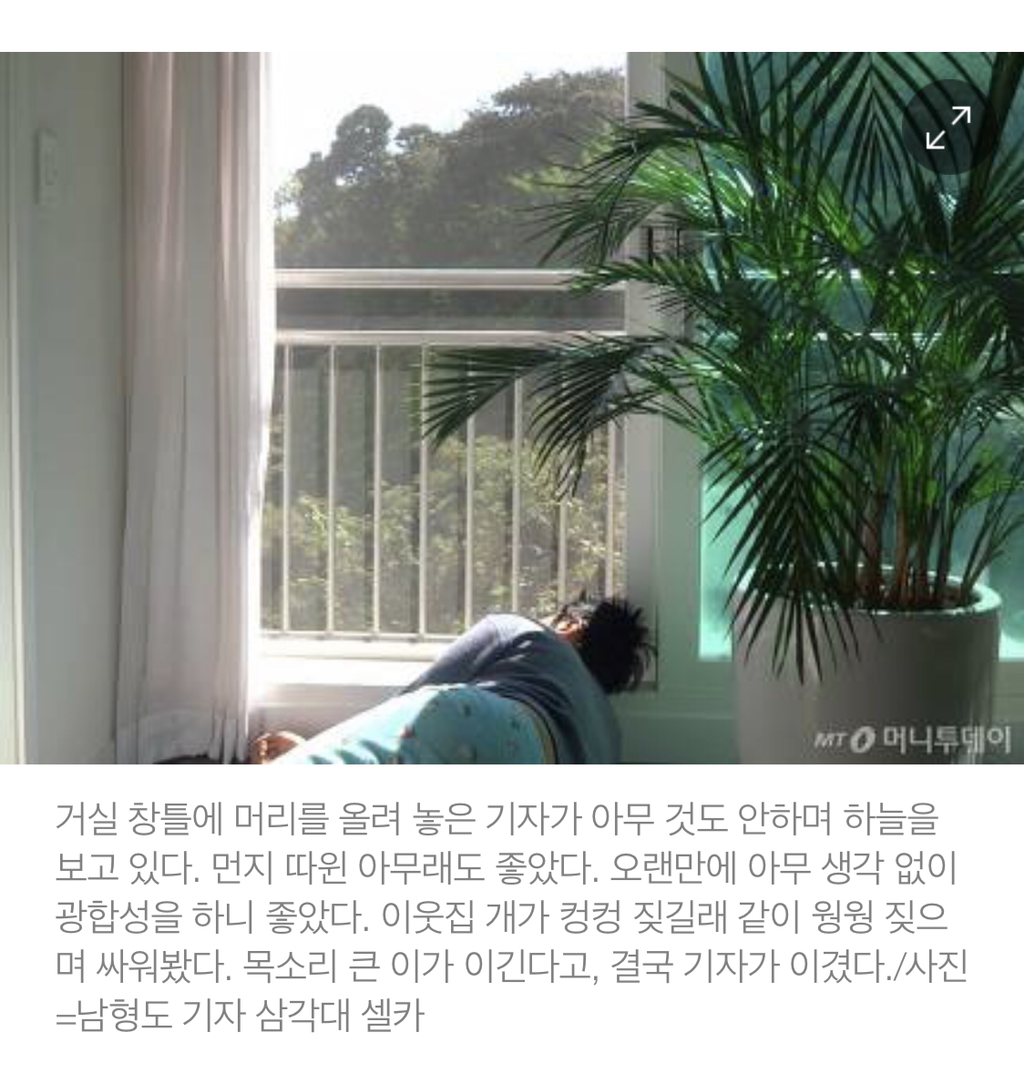 격렬하게 아무것도 안한 기자 | 인스티즈