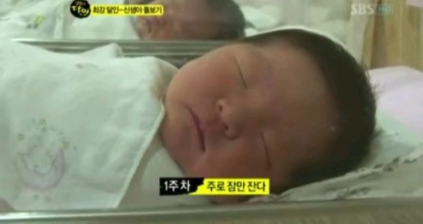 신생아도 주마다 차이가 난다.jpg | 인스티즈
