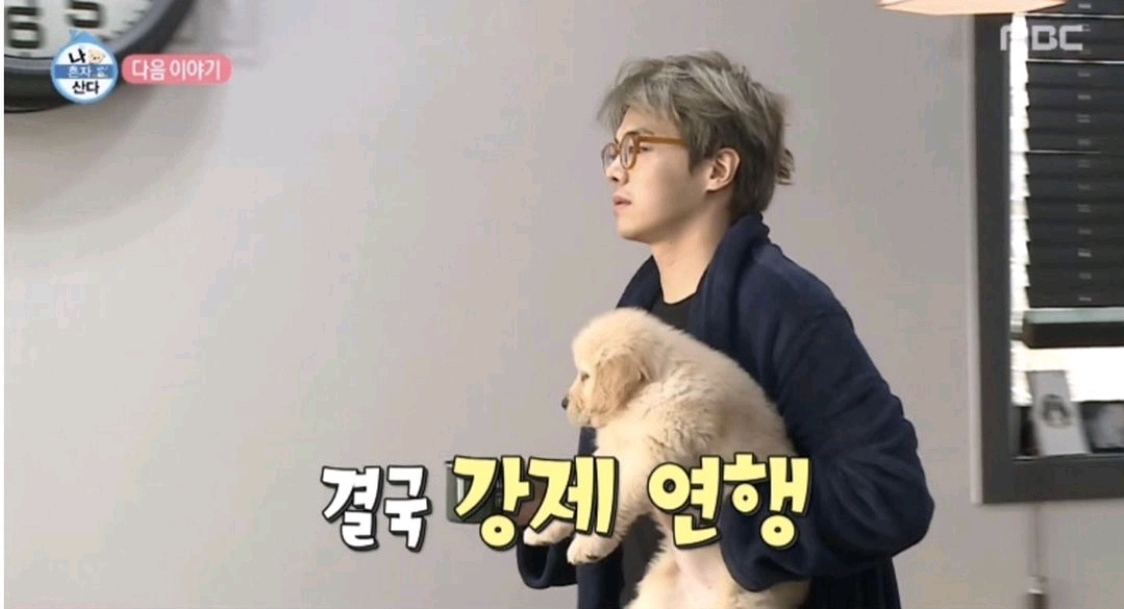 몰리 이미지