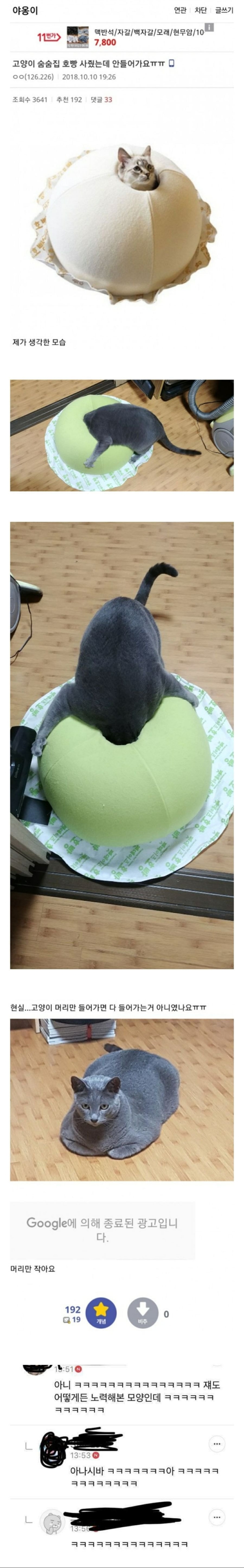 고양이 숨숨집 호빵 사줬는데 안들어가요ㅠㅠ | 인스티즈