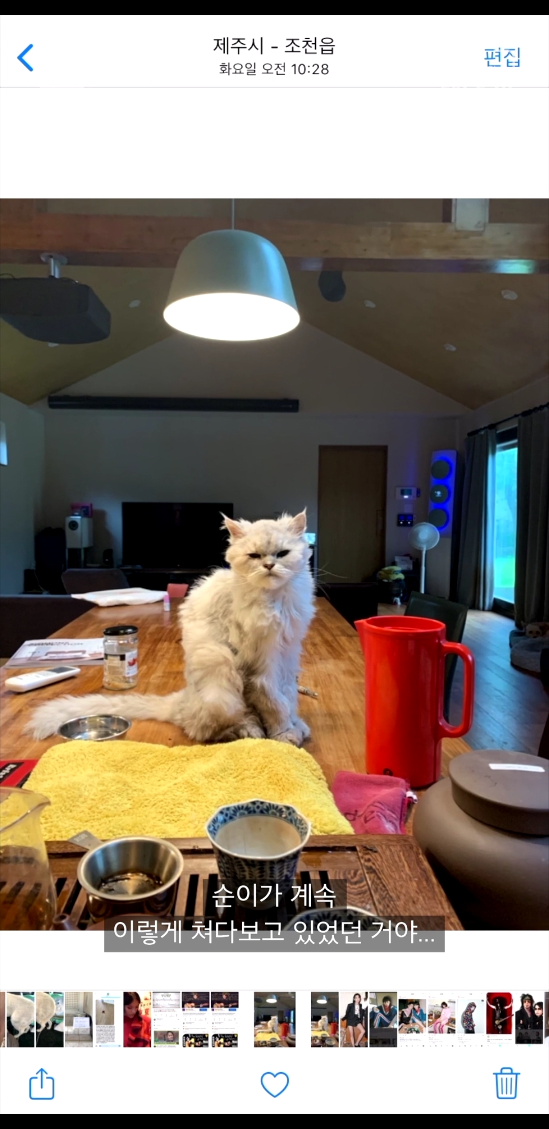 이효리가 인스타그램을 그만둔 이유 | 인스티즈