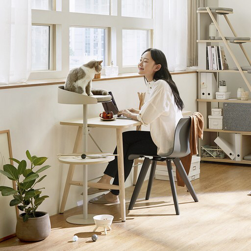 김메주와 콜라보한 일룸 고양이 반려가구 | 인스티즈