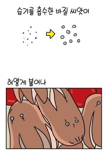 캐릭터 도시락 쌀 때 깨로 눈을 만들어야 하는 이유.jpg | 인스티즈
