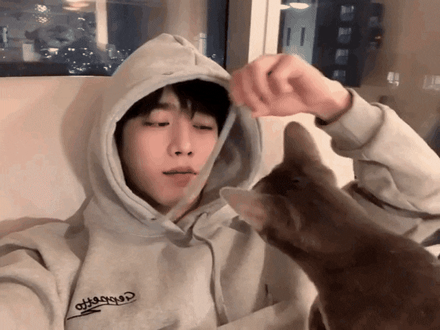 고양이랑 놀아주는 서강준 인스타영상.gif | 인스티즈