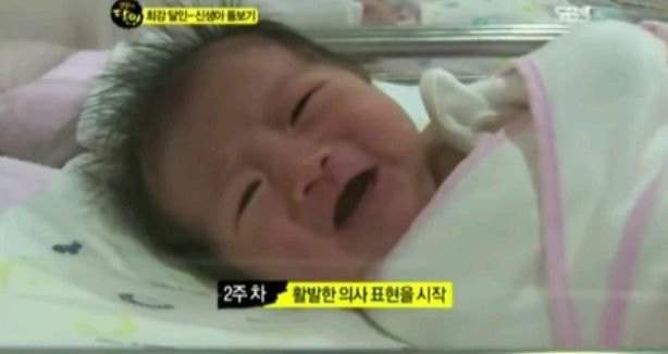 신생아도 주마다 차이가 난다.jpg | 인스티즈