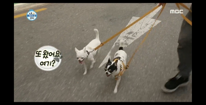 [나혼자산다] 러블리즈 팬이라는 노브레인 이성우.jpg | 인스티즈