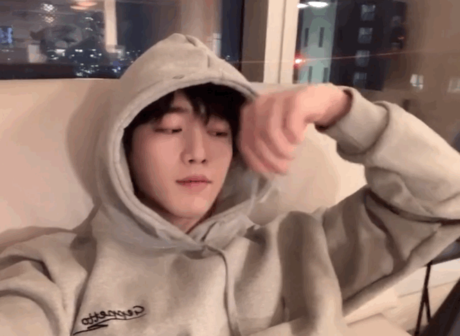 고양이랑 놀아주는 서강준 인스타영상.gif | 인스티즈