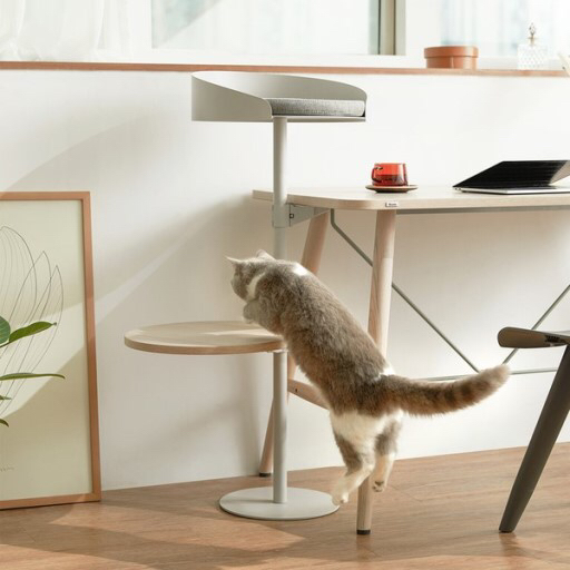 김메주와 콜라보한 일룸 고양이 반려가구 | 인스티즈