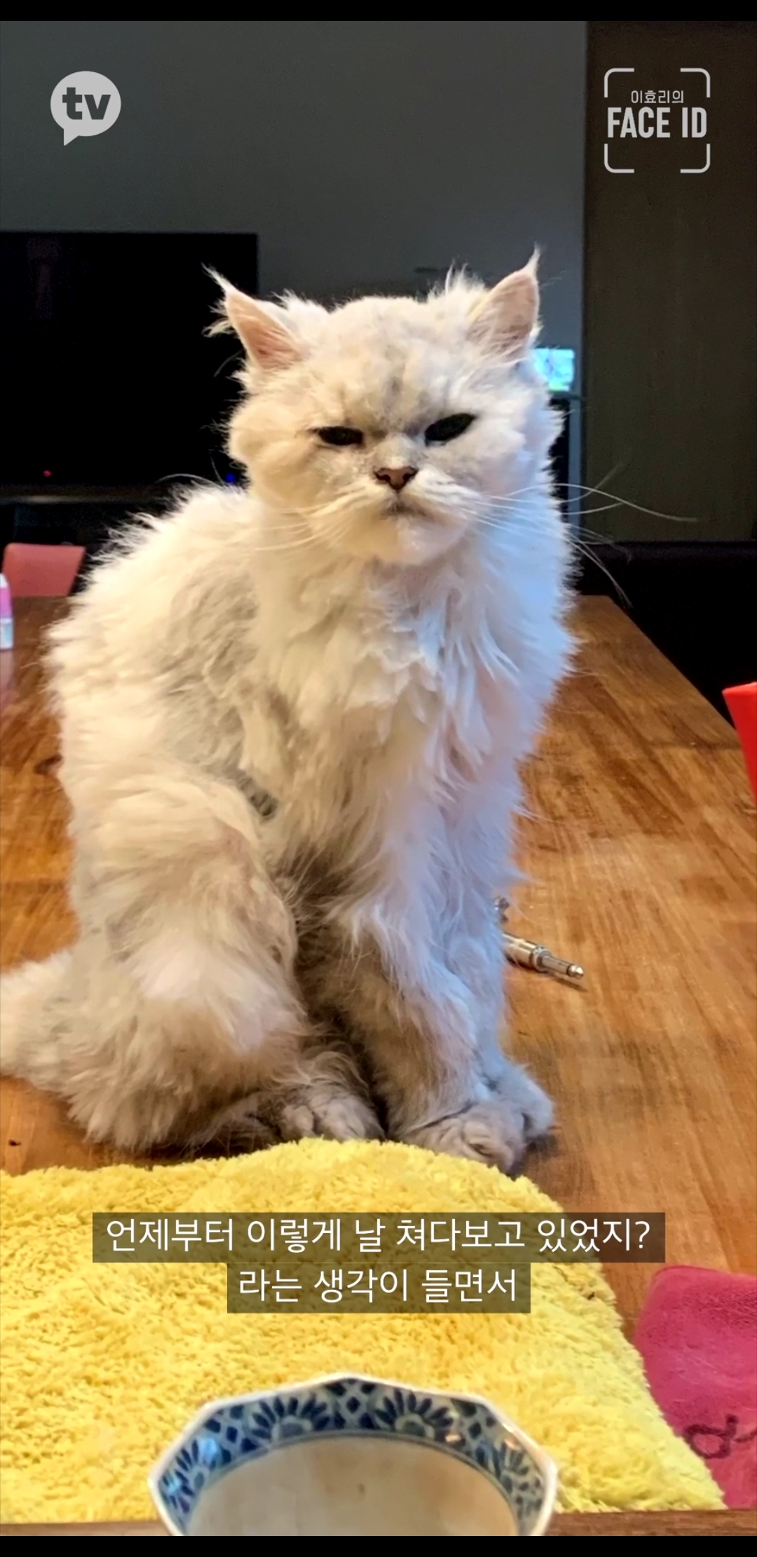 이효리가 인스타그램을 그만둔 이유 | 인스티즈