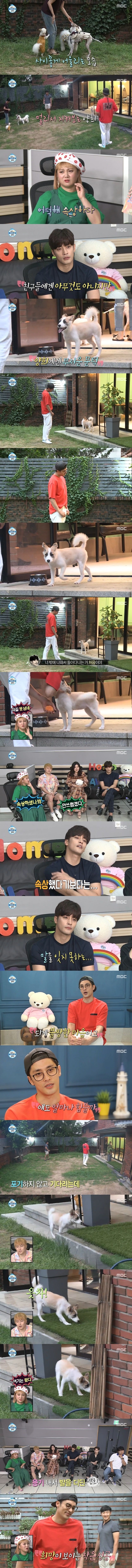 [나혼자산다] 태어나서 처음으로 잔디를 밟은 성훈 반려견 양희ㅠㅠㅠㅠㅠ | 인스티즈