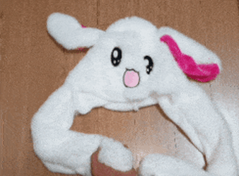 움직이는 토끼모자 구조 | 인스티즈