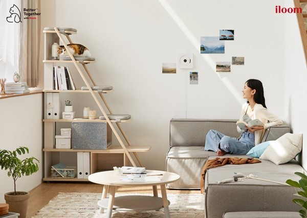 김메주와 콜라보한 일룸 고양이 반려가구 | 인스티즈