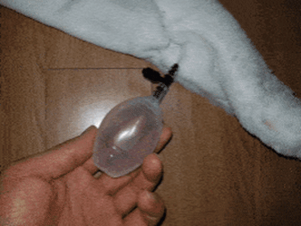 움직이는 토끼모자 구조 | 인스티즈